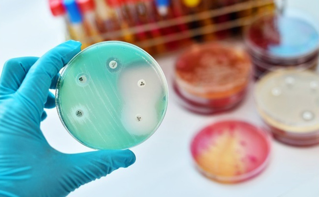 Resistenza antimicrobica: è tempo di riutilizzare il Global Fund